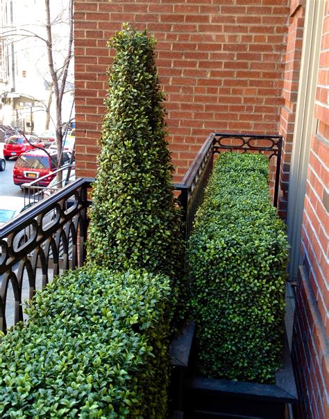 Fake Outdoor Shrubs And Bushes At Cindy Miller Blog