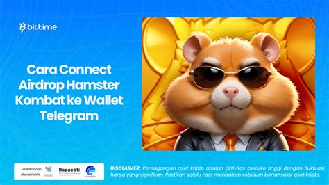 Cara Connect Airdrop Hamster Kombat Ke Wallet Telegram