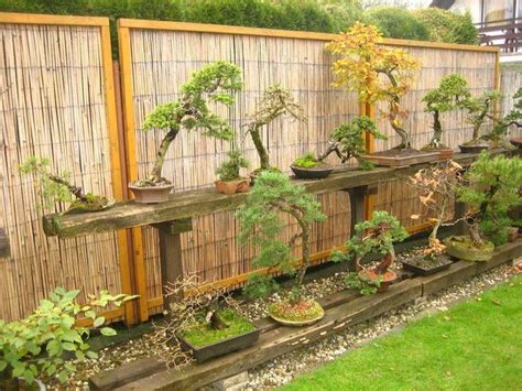 44 Stunning Bonsai Garden Ideas Best For Outdoor Decor Trendehouse