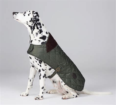 Barbour Green Quilted Dog Coat North Shore Saddlery