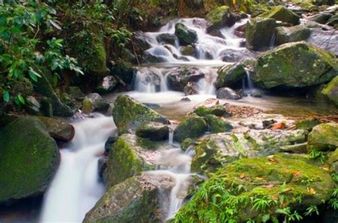 El Yunque Puerto Rico Lonely Planet