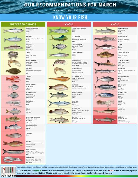 Indian Fish Names With Pictures