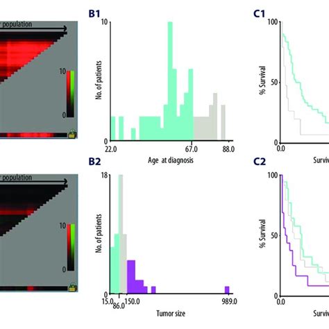 The Graphs Define The Optimal Cutoff Values Of Age Of Diagnosis And