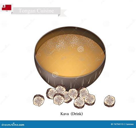 Kava Drink Or Traditional Tongan Herbal Beverage Stock Vector