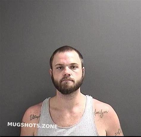 Cole Brandon Lee Roanoke Mugshots Zone