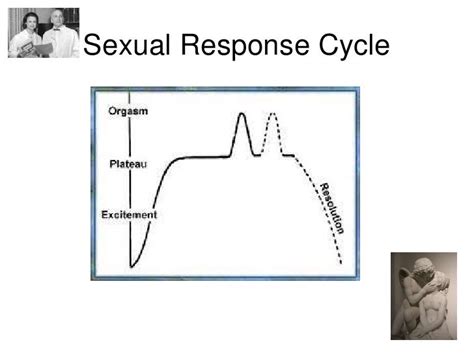 Introductory Psychology Sex