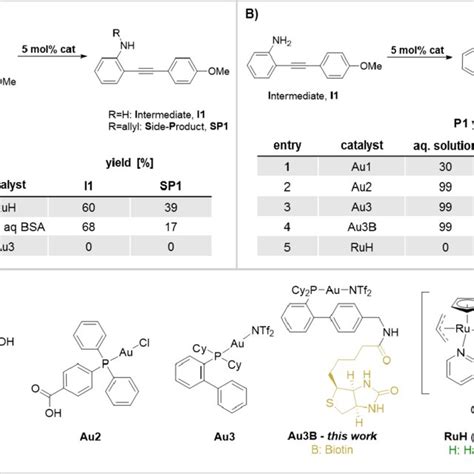 Screening Catalytic Activities In Aqueous And Protein Containing