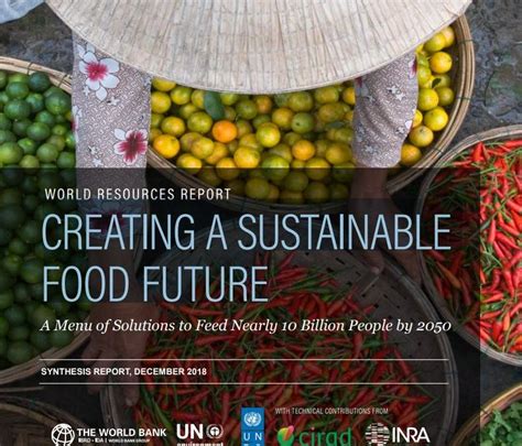 Creating A Sustainable Food Future “a Menu Of Solutions To Feed Nearly