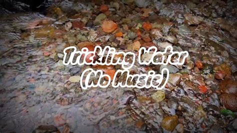 Trickling Water Sounds Peaceful River Sounds 3 Hours Long Hd