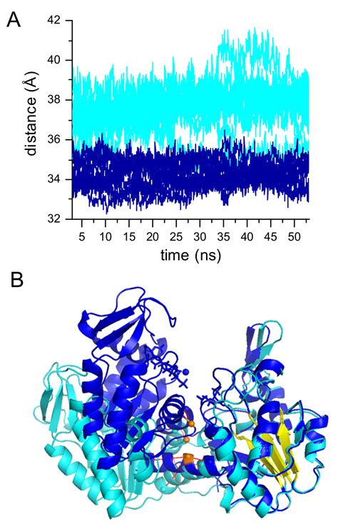 An Allosteric Signaling Pathway Of Human Phosphoglycerate Kinase From