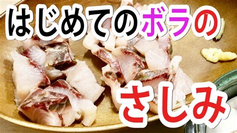 びっくり！はじめて食べるボラの刺身と白子の味 Youtube