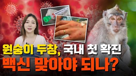 원숭이두창 국내도 뚫렸다 백신 맞아야 되나 위기 경보 주의 건강백과 14 Youtube