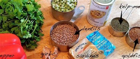 diy fish food recipe aquariums india