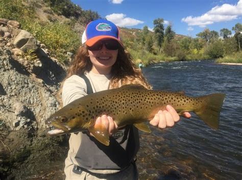 utahs provo river middle provo  provo