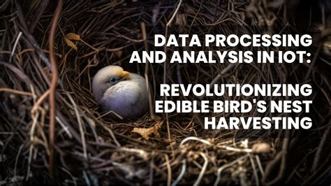 Data Processing and Analysis in IoT: Revolutionizing Edible Bird’s Nest Harvesting | IoT World