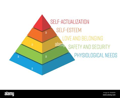 Pir Mide Maslow Jerarqu A De Necesidades Teor A Psicol Gica De La