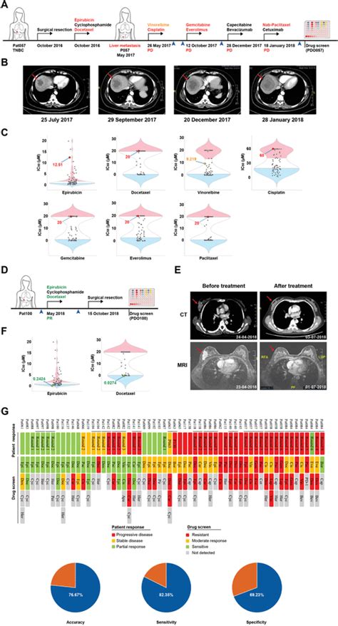 Pdos Retain The Previous Treatment Responses Of Breast Cancer Patients Download Scientific