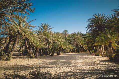 Plaja Vai Paradisul Tropical Din Estul Cretei Ghid Turistic