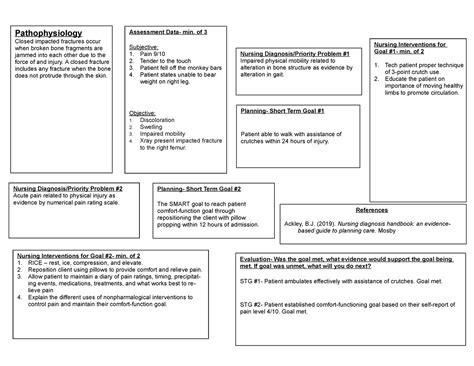 NUR 215 Basic Concept Map Fracture Evaluation Was The Goal Met What