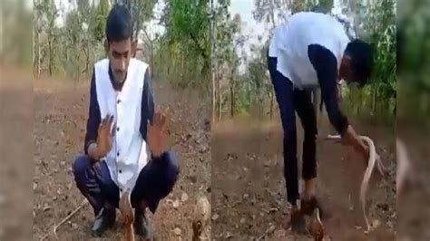 Man Sitting And Playing With 3 Cobras Attack On Him Shocking Video Viral Mhpl Video 3 3