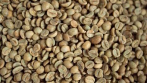 Ethiopia Earns 114mln From Coffee Export In A Month Ethiopian Monitor