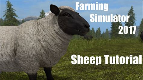 Farming Simulator 17 Sheep Tutorial YouTube