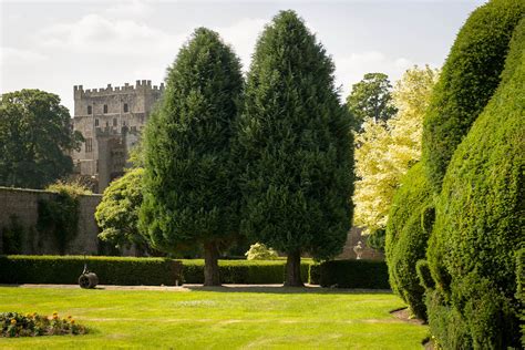 Raby Castle – Gardens – Right Click Studios