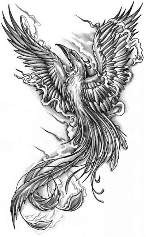 Pin on Tattoo ideas | Phoenix tattoo design, Phoenix tattoo, Tattoo ...