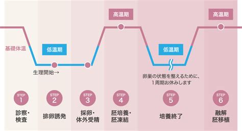 高度生殖補助医療（体外受精） 不妊治療 メディカルパーク ベイフロント横浜