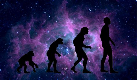 40+ Free Human Evolution & Evolution Images - Pixabay