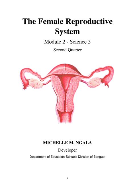 Sci5 Q2 M2 Female Reproductive System I The Female Reproductive