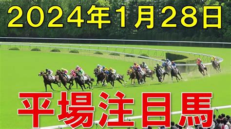 明日のjra競馬 予想 平場 注目馬【2024年1月28日】 競馬動画まとめ