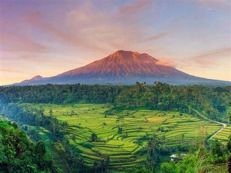 Randonnées à Bali Des Sommets Volcaniques aux Rizières en Terrasses