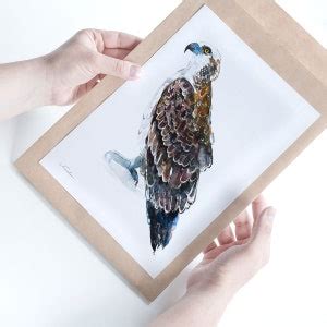 Osprey Watercolor Print Bird of Prey Art Wall Decor Giclée Print