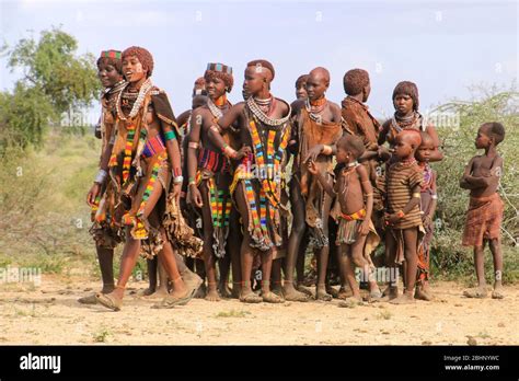 Hamar Women Dance At a Bull Jumping Ceremony, Dimeka, Omo Valley ...