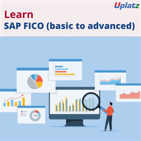 Sap Fico Basic To Advanced Training At Rs 700hour In Bilaspur Id