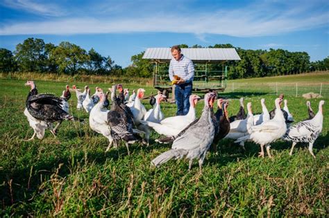 48+ Places for the Best Petting Zoo Near Me - Days Out On The Farm