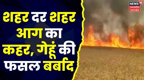 Jhansi Fire News शहर दर शहर आग का कहर झांसी गेहूं की फसल बर्बाद