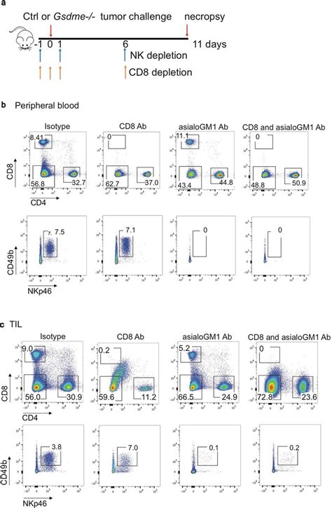 Depletion Of Cd8⁺ T And Nk Cells In Mice Bearing Emt6 Tumours Ac