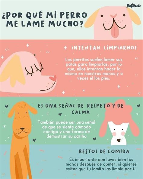 Que Significa Cuando Los Perros Se Lamen