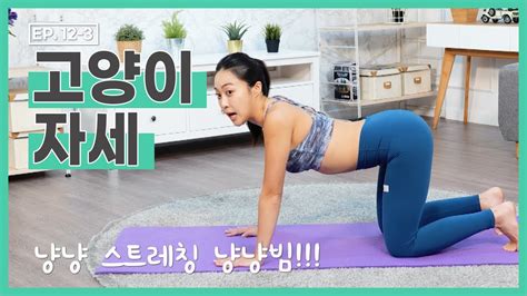 더 바디핏 Ep12 3 Home Training 03 고양이 자세 스트레칭 윤수연김현정 Youtube