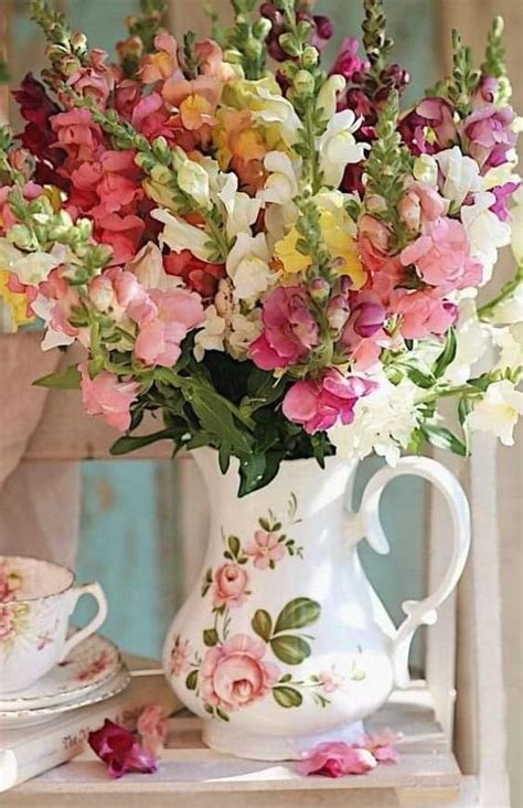 Pin By Sternlein 55 On Shabby Chic Dekor Amazing Flowers Beautiful