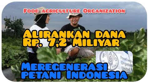 Prihatin Dengan Penurunan Petani FAO Bantu Indonesia Cetak Petani