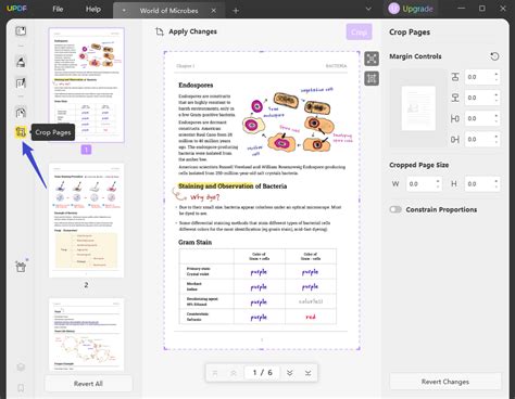 Cómo Recortar Páginas en PDF en Windows Guía de Usuario