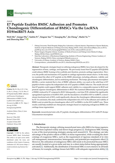 PDF E7 Peptide Enables BMSC Adhesion And Promotes Chondrogenic