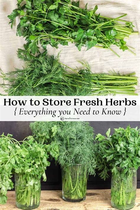 Best Way To Store Fresh Herbs Easy Methods In Herbs Store