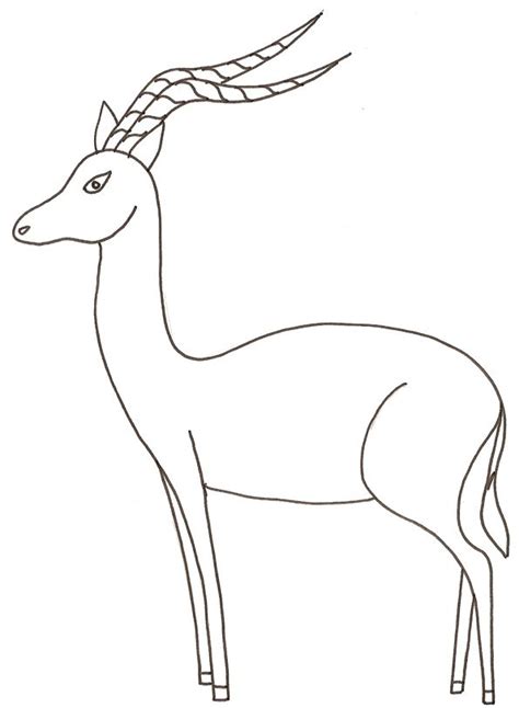 Coloriage antilope 02 un dessin à imprimer de Tête à modeler