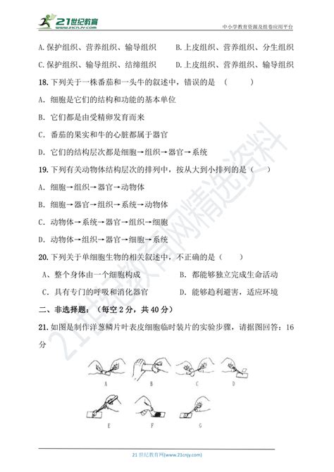 七年级上册生物第二单元测试题含答案） 21世纪教育网