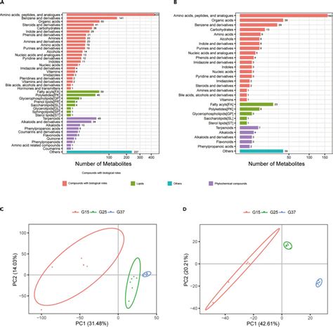 Temperature Regulated Metabolites Of Serratia Marcescens Inhibited