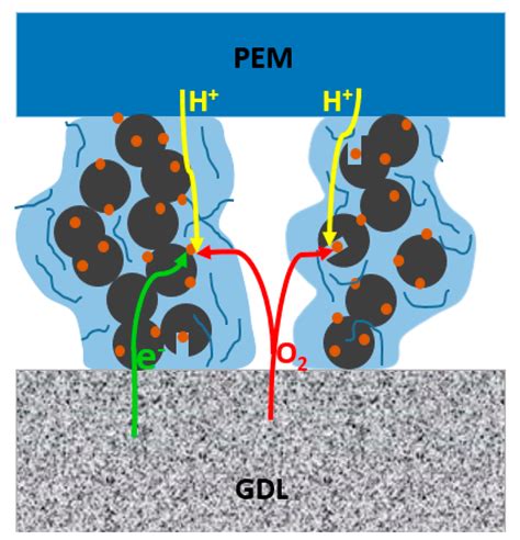 Membranes Free Full Text A Molecular Model Of PEMFC Catalyst Layer